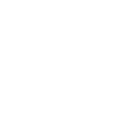 Medical Device Single Audit Program Checklist